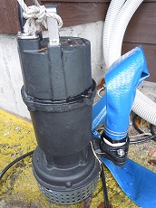DSCN8285.jpg
