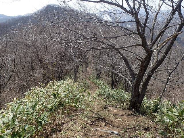 P4221233　11：12下って.jpg