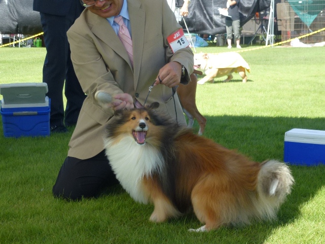 P1010826 - コピー.JPG