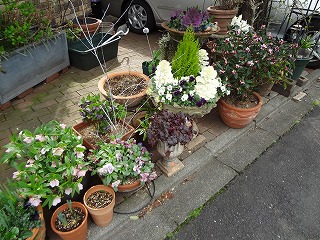 DSC00228.jpg