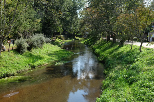 DSCF9270.jpg