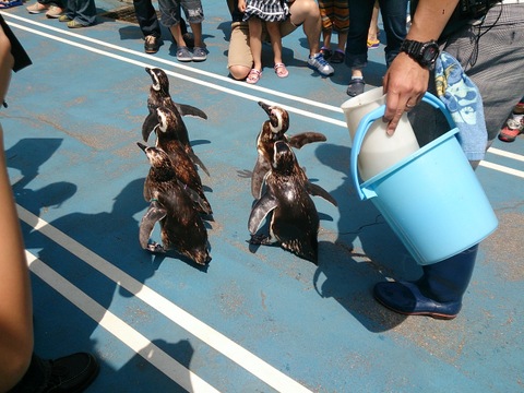 2013-07-28 10.31.20.jpg