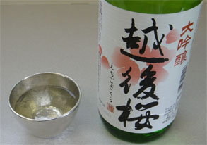 越後桜2.jpg