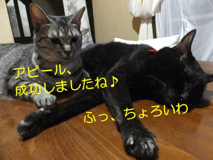 20120914_5.jpg