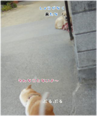 0101トム2.jpg