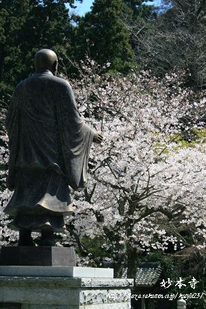長興山　妙本寺　