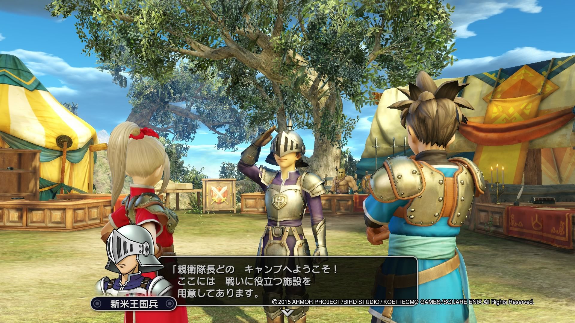 ドラゴンクエストヒーローズ　闇竜と世界樹の城_20150314234641.jpg