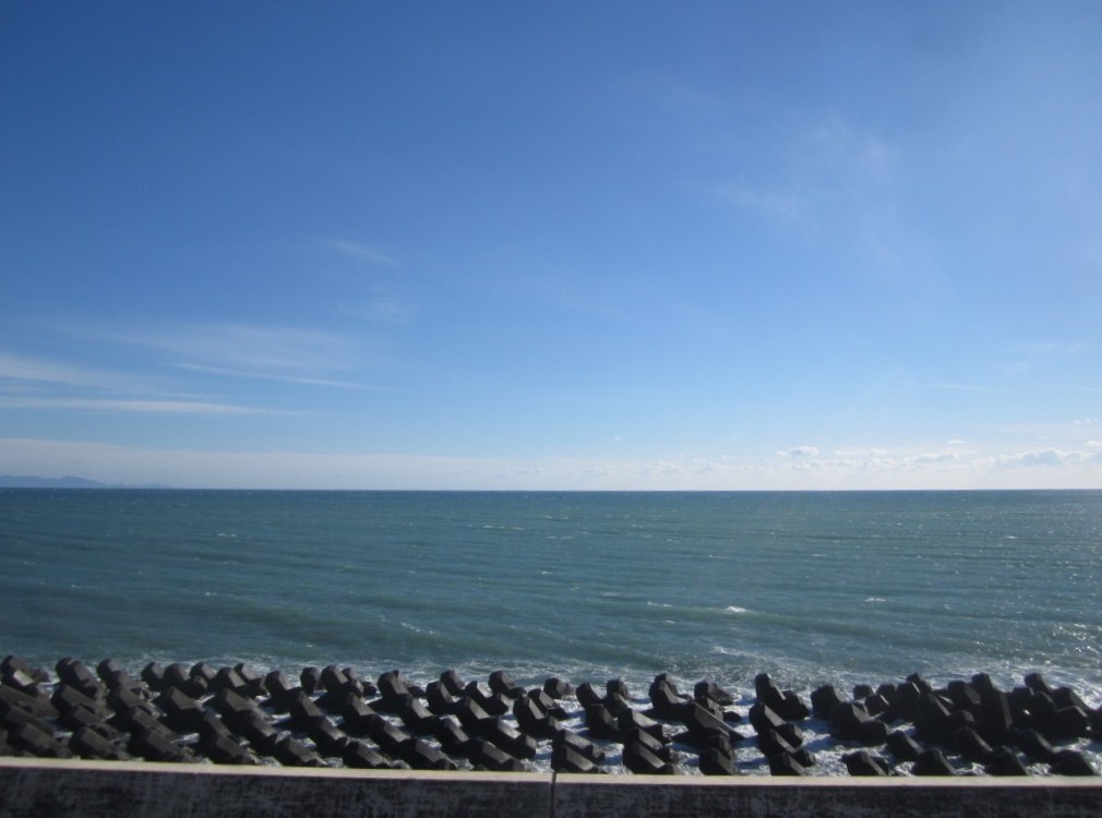 IMG_1515^.JPG