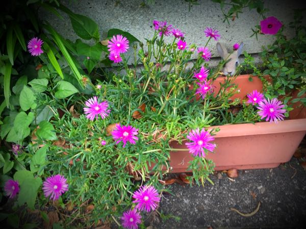 rblog-20160630184304-07.jpg