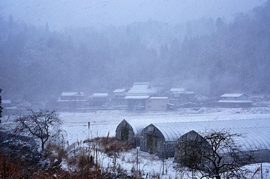 雪６