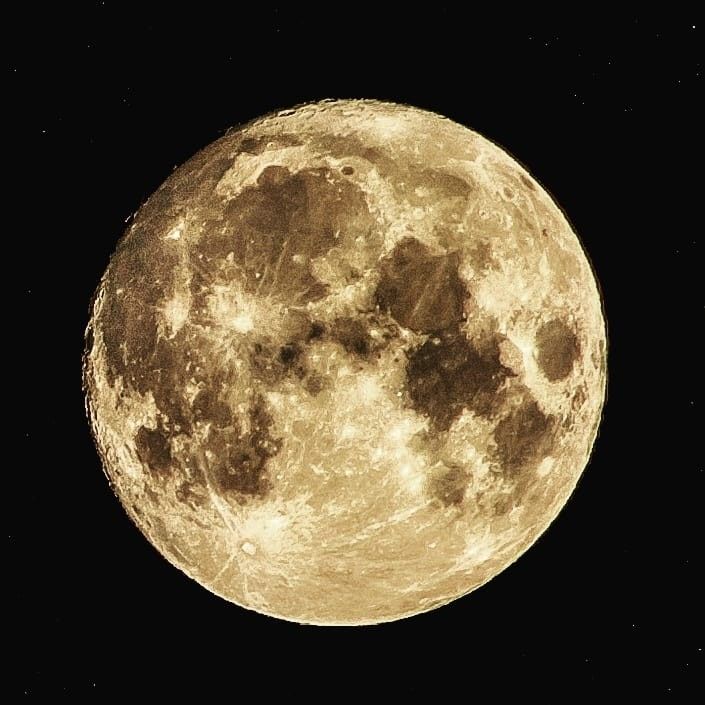 今晩は中秋の名月ですよ たきびとうさぎのおさんぽ 楽天ブログ