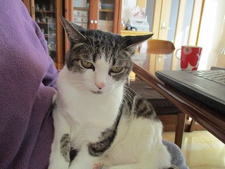 IMG_4281ss.jpg