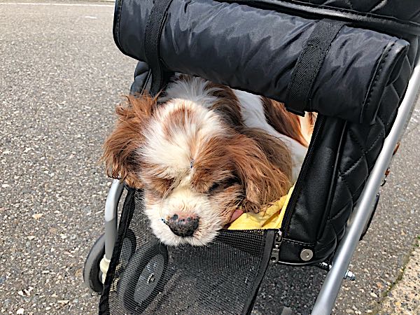 rblog-20180423141141-05.jpg