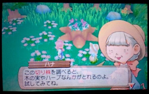 牧場物語 はじまりの大地 1年目 はるの月 15日 毎日のんのんプレイ 楽天ブログ