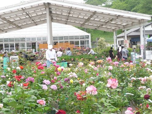 花木センターに行きました まるちわすみれのブログ 楽天ブログ