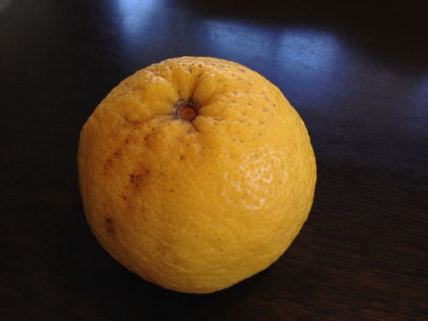 rblog-20140615162737-01.jpg