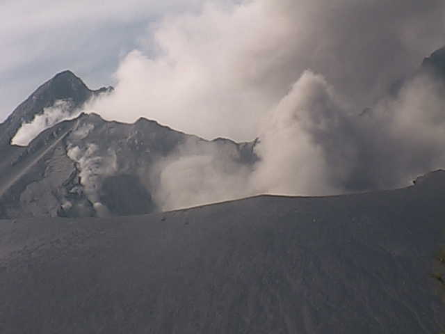 GetLiveImageQ6EWSIBY  １２月19日－２.jpg