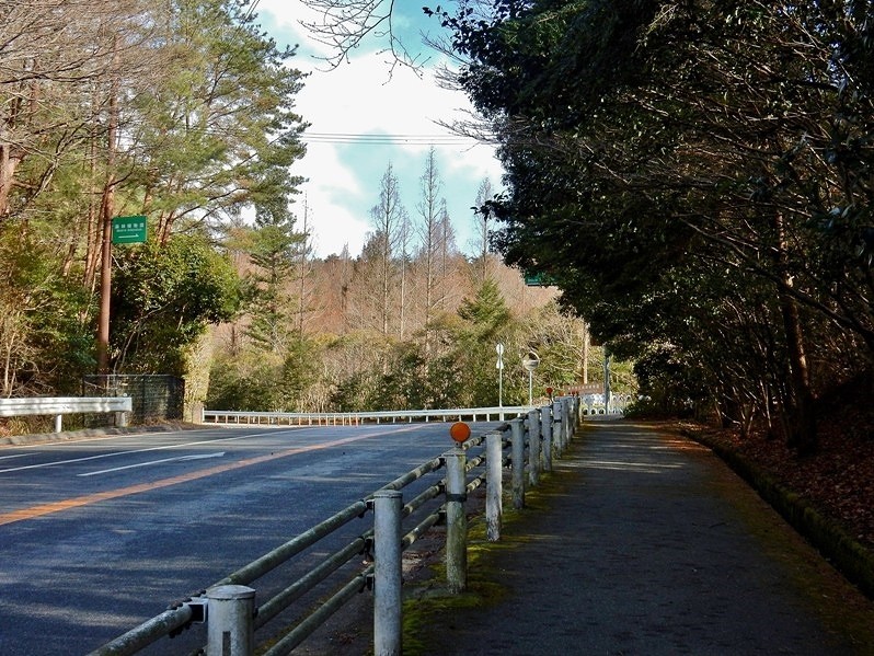 植物園への道 5.JPG