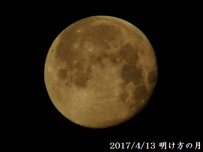 コピー - DSCN2629.JPG