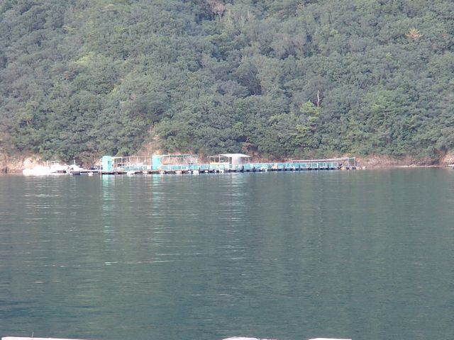 PA060047.jpg