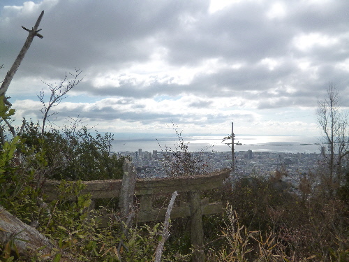 P1080446(1).JPG