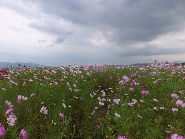rblog-20140923152219-02.jpg