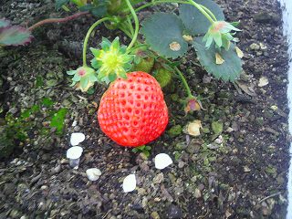 2012031214200000.jpg