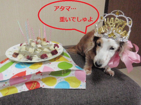 りん11才2.jpg