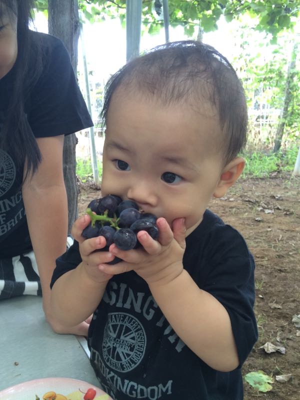 rblog-20150817003511-02.jpg