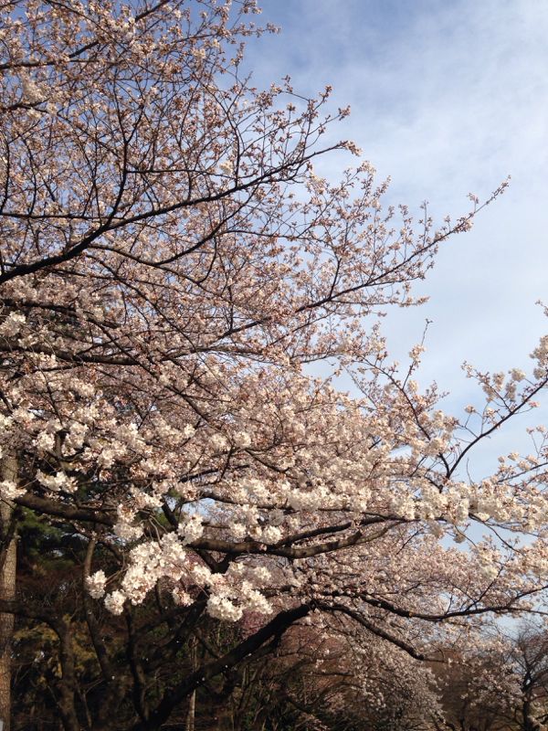 rblog-20140331080912-01.jpg