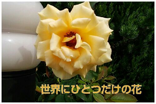 rblog-20160923112631-00.jpg