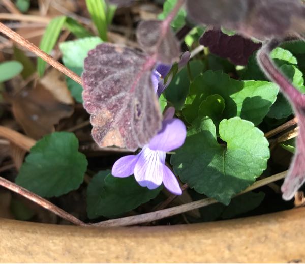 rblog-20180324203515-01.jpg