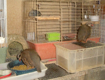 2013/08/30(4)