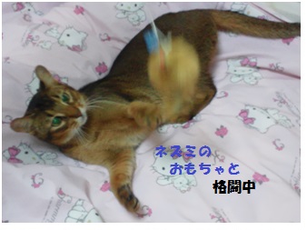 2013.9.30久々ヴァルト2