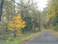 121028_134500.jpg