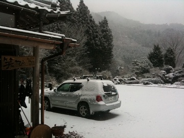 WARABI雪.JPG