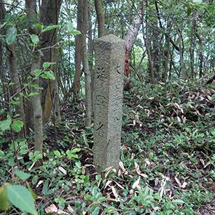 岩山登山 なぜ2題 | 山屋のページ - 楽天ブログ
