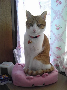 130531_114247 (270x360).jpg