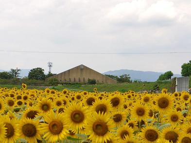 P1050462.JPG