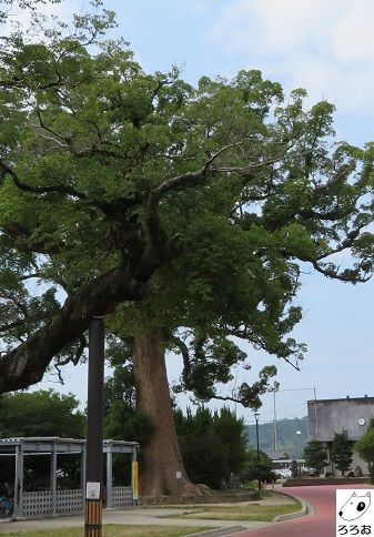 2ページ目の その他ロケ地 ろろおのブログ 楽天ブログ