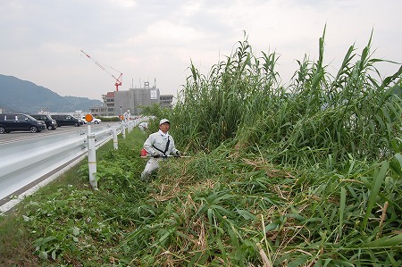 s-DSC_0714.jpg