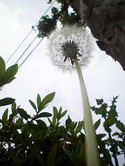 conv0280.JPG