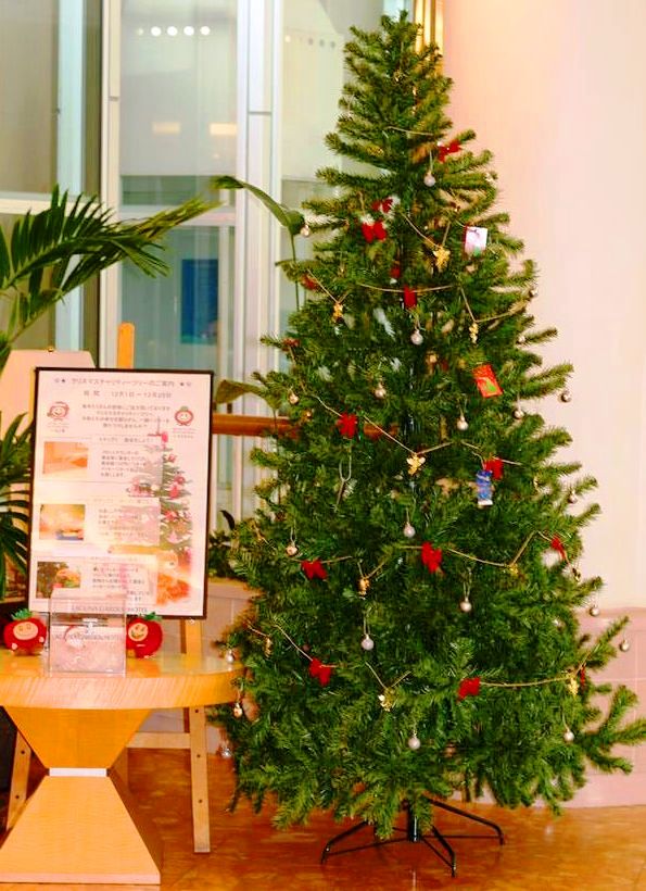 ☆南の島のクリスマス☆　★☆★チャリティーツリー★☆★