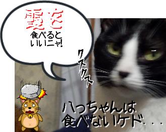 P4200006_1.png