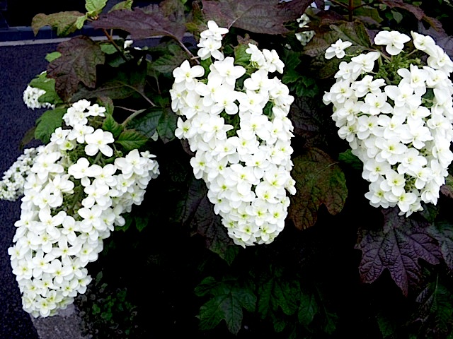 120611_163810.jpg