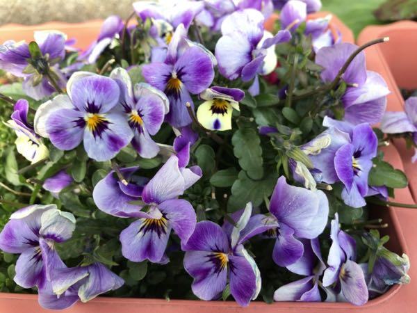 rblog-20170227213621-07.jpg