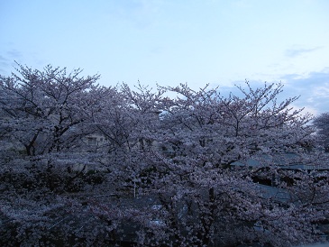 IMG_8186.JPG