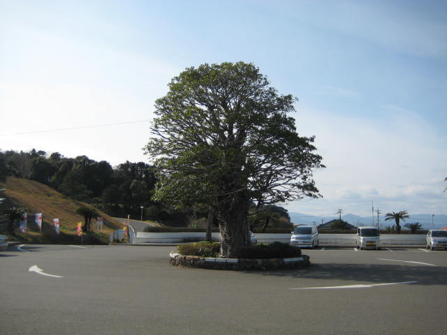 IMG_0135.JPG