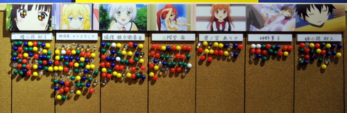 akiba130112k.jpg