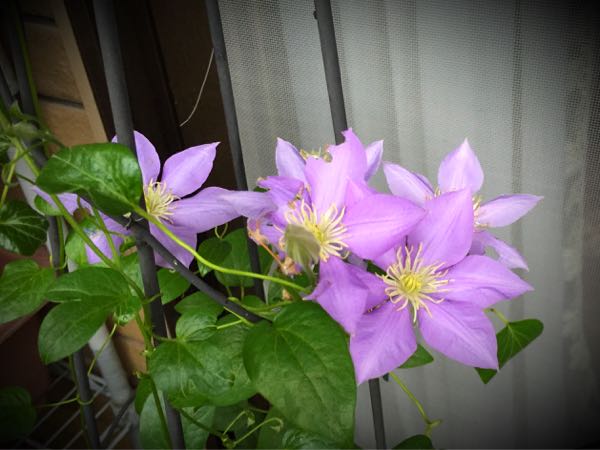 rblog-20160627210033-08.jpg